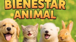 bienestar animal