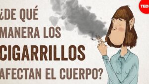 consumo tabaco