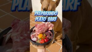 dieta barf