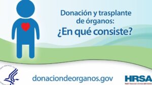donacion organos