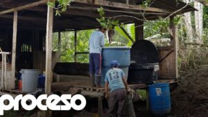 drogas colombia