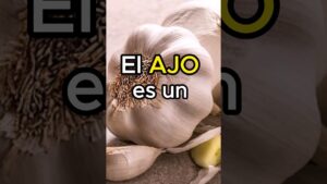 el ajo