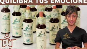 flores bach