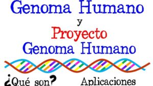 genoma humano