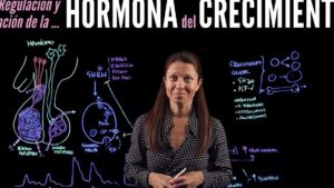 hormona crecimiento