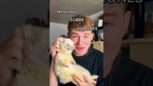 huron mascota