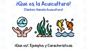 la acuicultura