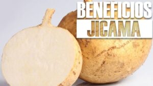 la jicama