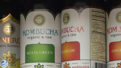 la kombucha