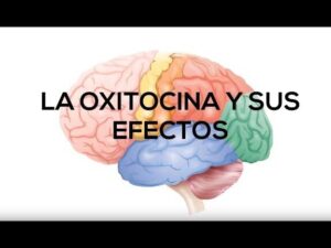 la oxitocina