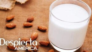 leche almendras