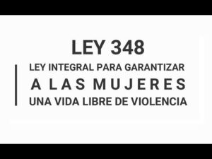 ley 348