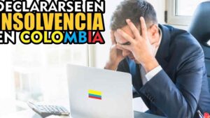 ley insolvencia