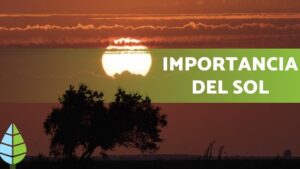 luz solar
