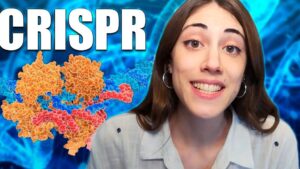 modificacion genetica