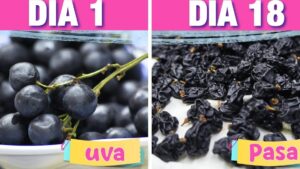 pasas uva