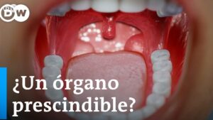 quitarse amigdalas