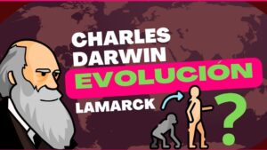 teoria evolucion