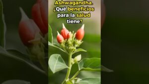 tomar ashwagandha