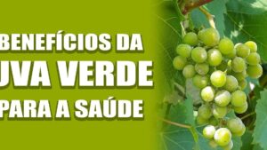 uvas verdes