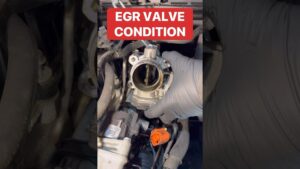 valvula egr