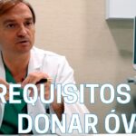 Pros y contras de vender ovulos: 7 claves para decidir