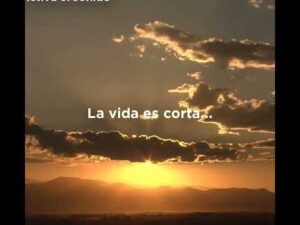 vida diaria