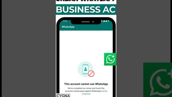 whatsapp business